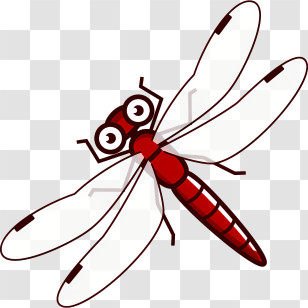 Icon - Cute Red Dragonfly Cartoon Illustration Transparent PNG
