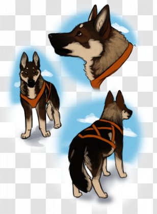Dog Breed German Shepherd Lapponian Herder Kunming Wolfdog Siberian Husky - Like Mammal - Vertebrate Transparent PNG