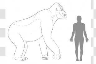 Gorilla Gigantopithecus Ape King Kong Human Body - Heart Transparent PNG