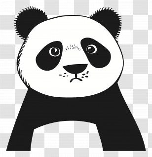 Panda Illustration - Cute Panda Illustration For Animal Lovers Transparent PNG