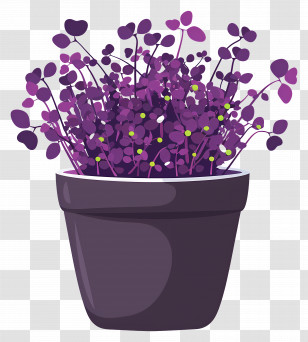Pot Of Microgreens - Purple Plant In A Pot Transparent PNG