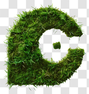 Green Grass - Eco-Friendly Grass Letter C Symbol Transparent PNG