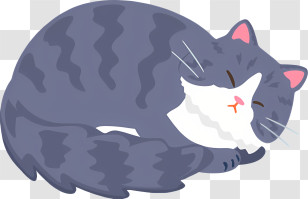 Gray And White Cat - Sleeping Gray Cat Curled Up Transparent PNG