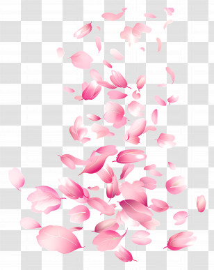 Falling Flowers - Falling Pink Flower Petals In Romantic Setting Transparent PNG