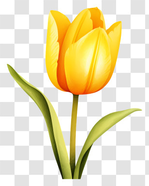 Yellow Tulip - Yellow Tulip Flower Illustration Transparent PNG