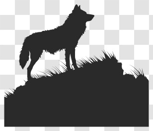 Wolf Silhouette - Wolf Silhouette On Hill Transparent PNG