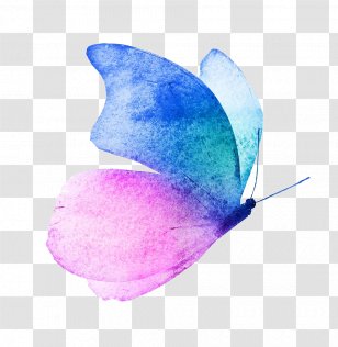 Butterfly Watercolor Painting Image Royalty-free Transparent PNG