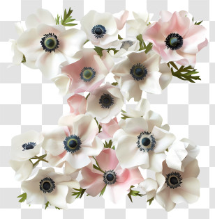 Floral Letter X - Floral Letter Z With White And Pink Flowers Transparent PNG