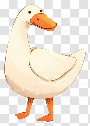 Cartoon Goose - Standing White Duck Cartoon Illustration Transparent PNG