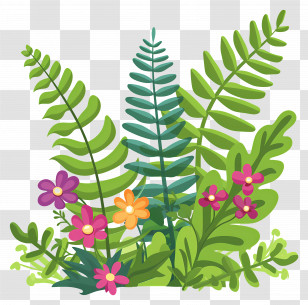 Garden Fern - Illustration Of Green Plants With Flowers Transparent PNG