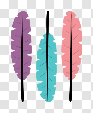 Arrow - Colorful Decorative Feathers Transparent PNG