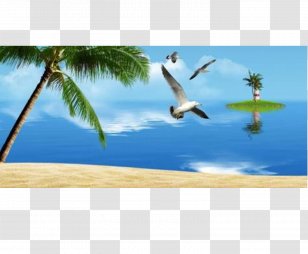 Sandy Beach Bird - Ducks Geese And Swans - Material Transparent PNG