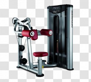 Rear Delt Raise Deltoid Muscle Shoulder Calf Raises Pulldown Exercise - Equipment Transparent PNG