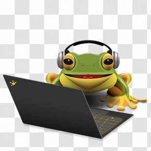 Tree Frog Common Image Photograph - Brand Transparent PNG