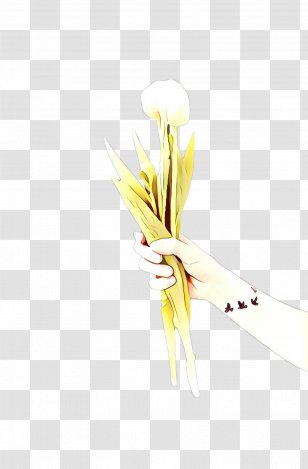 Floral Flower Background - Quill - Wing Transparent PNG