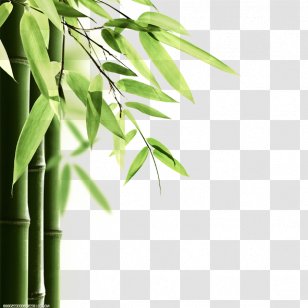 China Dragon Boat Festival U7aefu5348 Traditional Chinese Holidays - Unesco Intangible Cultural Heritage Lists - Nature Bamboo Transparent PNG