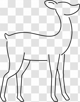 Line Deer - Outline Drawing Of A Deer Transparent PNG