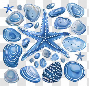 Pebbles - Starfish And Seashells In Sea-Inspired Illustration Transparent PNG