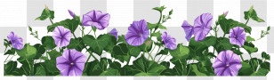 Flower Bush - Illustrative Purple Morning Glories With Green Foliage Transparent PNG
