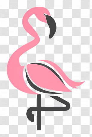 Simple Design - Pink Flamingo Illustration Transparent PNG