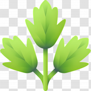 Parsley - Fresh Green Parsley Leaves For Culinary Uses Transparent PNG