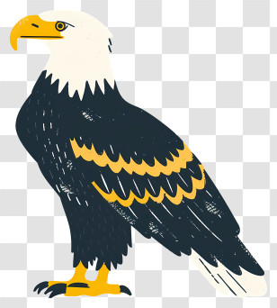 Eagle - Bald Eagle Illustration Artwork Transparent PNG