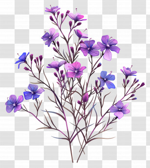 Purple Flowers - Delicate Purple Flowering Plant Illustration Transparent PNG