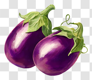 Eggplants - Fresh Purple Eggplants Transparent PNG