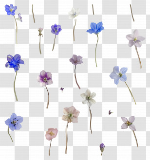 Tiny Flowers - Elegant Assorted Delicate Flower Stems Transparent PNG