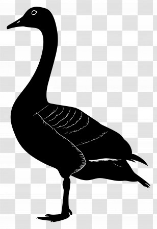 Goose Silhouette - Black Goose Silhouette Illustration Transparent PNG