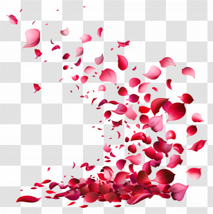 Falling Flowers - Falling Red Rose Petals Illustration Transparent PNG