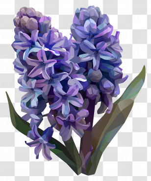 Digital Flower - Purple Hyacinth Flower Illustration Transparent PNG