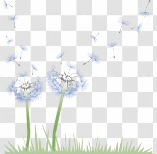 Common Dandelion Pattern - Chicory - Vector Blue Transparent PNG