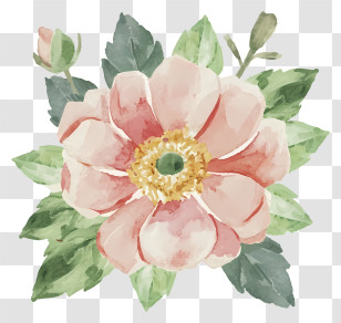 Watercolor Painting - Pink Flower With Green Leaves In Watercolor Style Transparent PNG