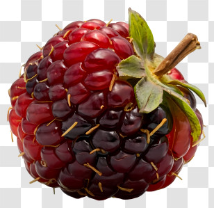 Cartoon - Juicy Hybrid Berry Transparent PNG