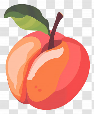 Nectarine - Cartoon Style Peach Illustration Transparent PNG