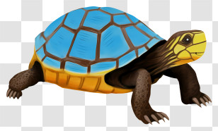 Turtle - Blue And Yellow Tortoise Illustration Transparent PNG