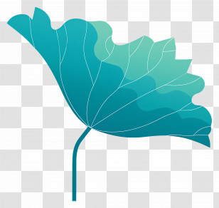 Lotus Leaf - Single Leaf With Detailed Veins Transparent PNG