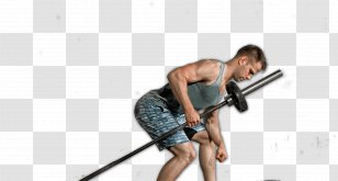 Muscle Hamstring Exercise Strength Training Weight - Injury Prevention - Hypertrophy Transparent PNG