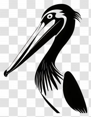 Pelican Head - Black And White Pelican Silhouette Transparent PNG