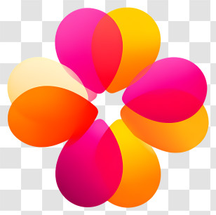 Modern Abstract Logo - Vibrant Petal Flower Logo Transparent PNG