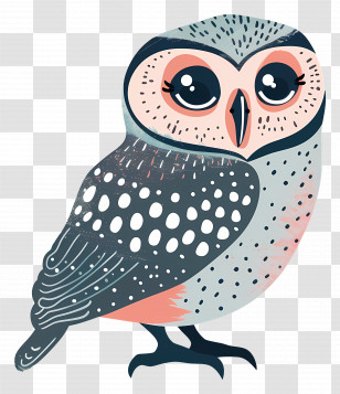 Owl - Cute And Adorable Cartoon Owl Transparent PNG
