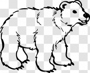 American Black Bear Polar Giant Panda Brown - Heart - Small Hamster Transparent PNG