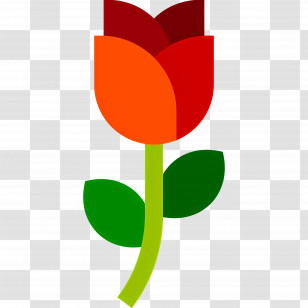 Red Flower - Colorful Tulip Flower Illustration Transparent PNG