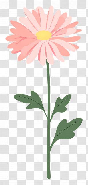 Pink Chrysanthemum Flower - Illustration Of A Pink Flower With Green Stem Transparent PNG