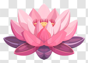 Lotus Flower - Pink Lotus Flower Illustration Transparent PNG