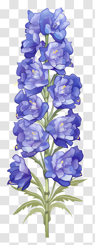 Cartoon Delphinium Flower - Beautiful Bluebell Flower Illustration Transparent PNG