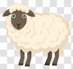 Sheep - Cute Cartoon Sheep Illustration Transparent PNG