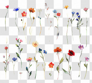 Flower Background - Colorful Watercolor Flower Collection Transparent PNG