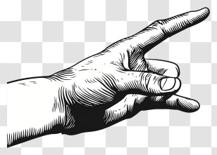 Gesture - Detailed Hand Gesture Drawing Transparent PNG